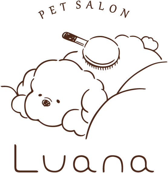 PETSALON Luana